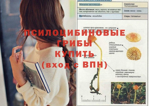 мяу мяу мука Богородицк