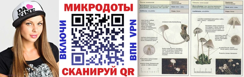 Галлюциногенные грибы прущие грибы  купить наркотик  Богородицк 